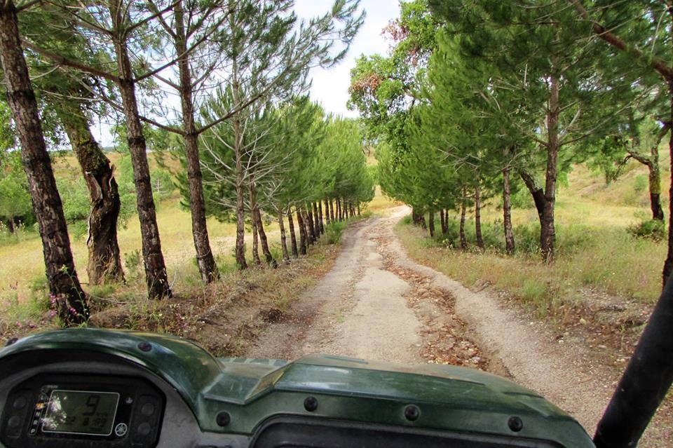 Pensjonat Monte Da Tojeirinha Montargil Zewnętrze zdjęcie