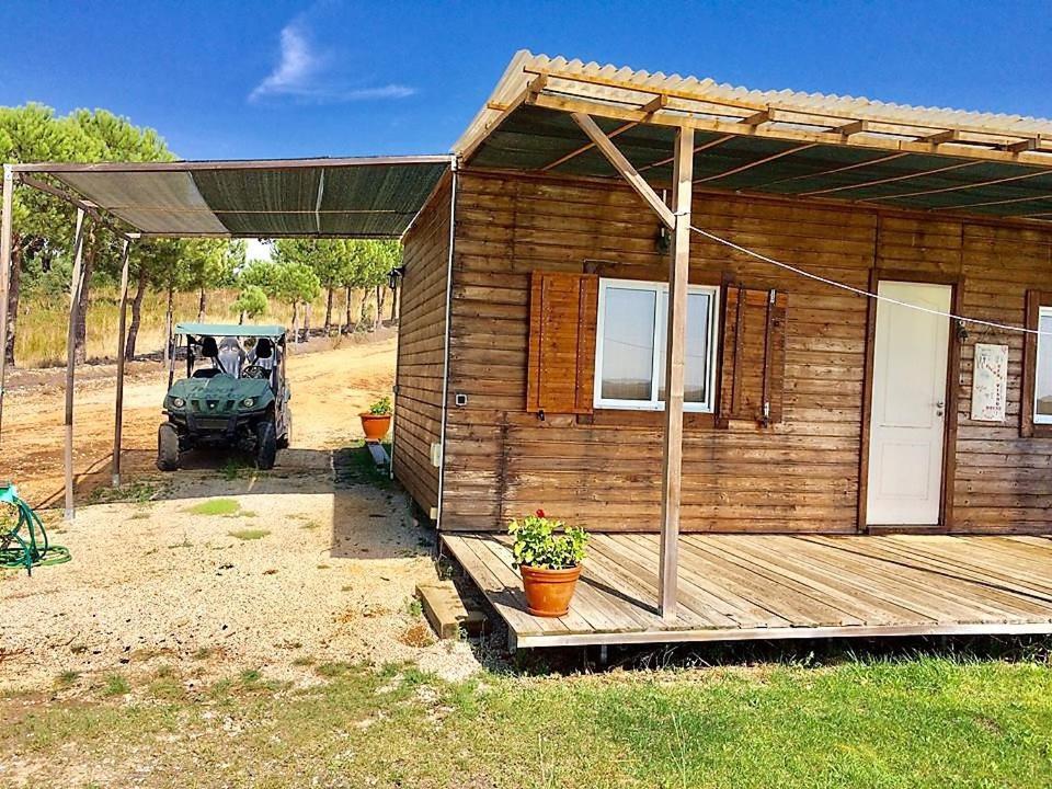 Pensjonat Monte Da Tojeirinha Montargil Zewnętrze zdjęcie